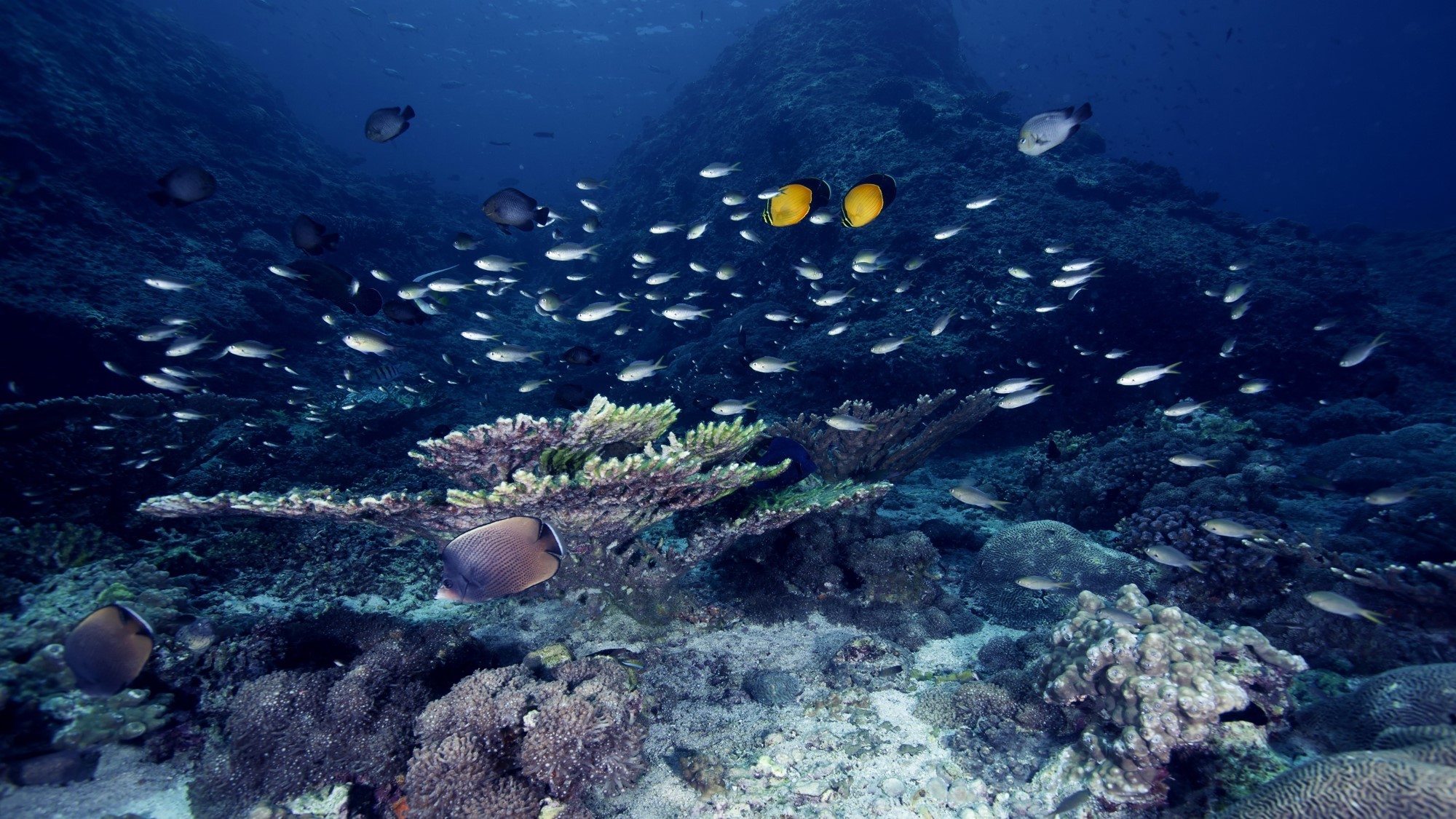 Discover the underworld of Oman at Dimaniyat Island